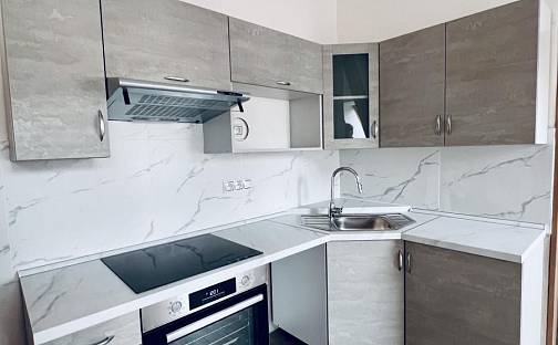 Pronájem bytu 2+1 59 m², Brožíkova, Teplice