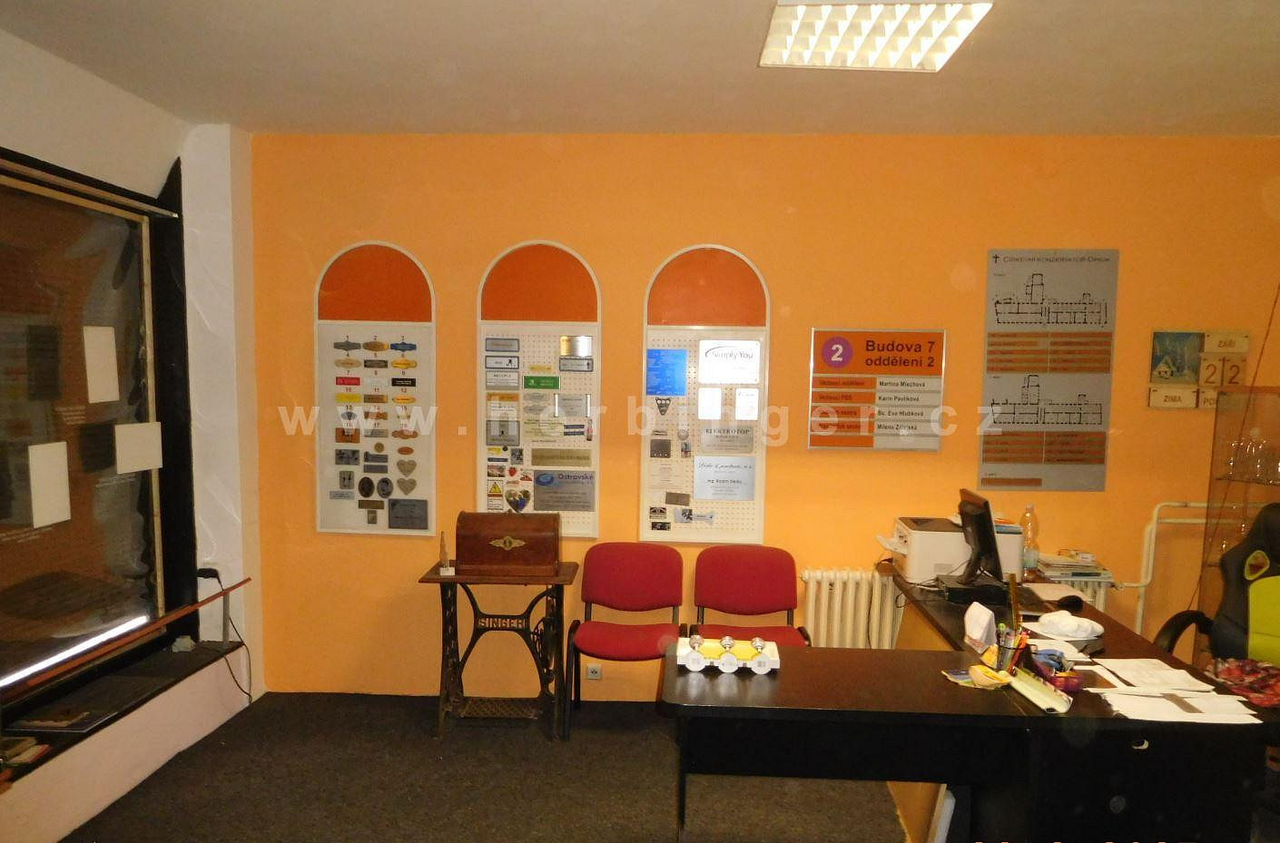 Fotka 21 z 26