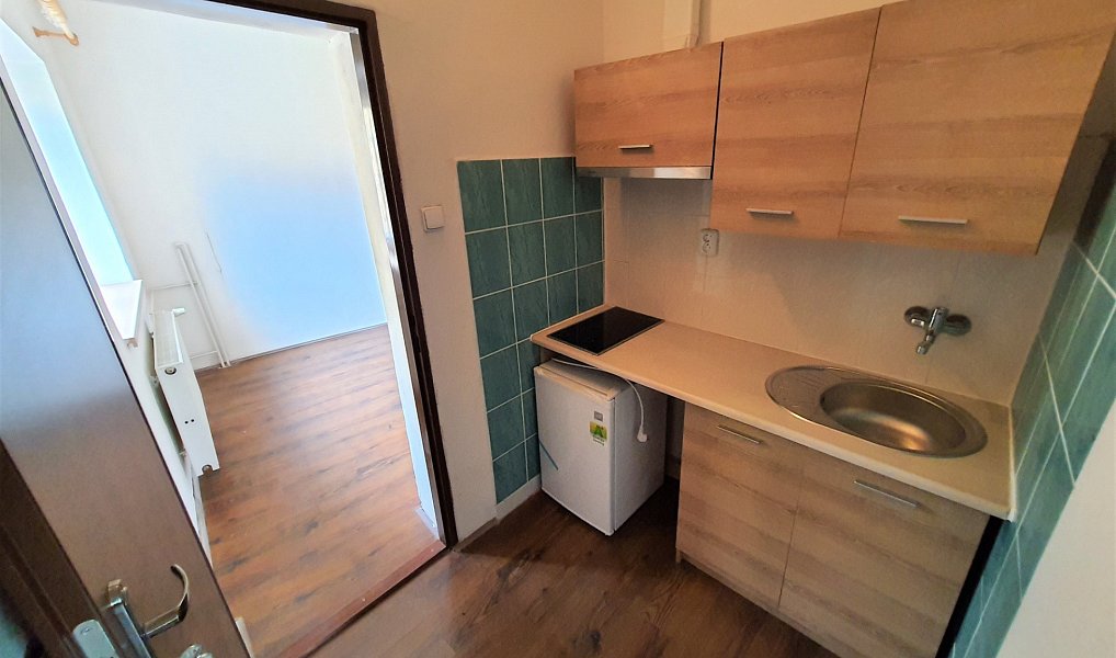 Pronájem bytu 1+kk 19 m², Studnice – náhled fotky 3
