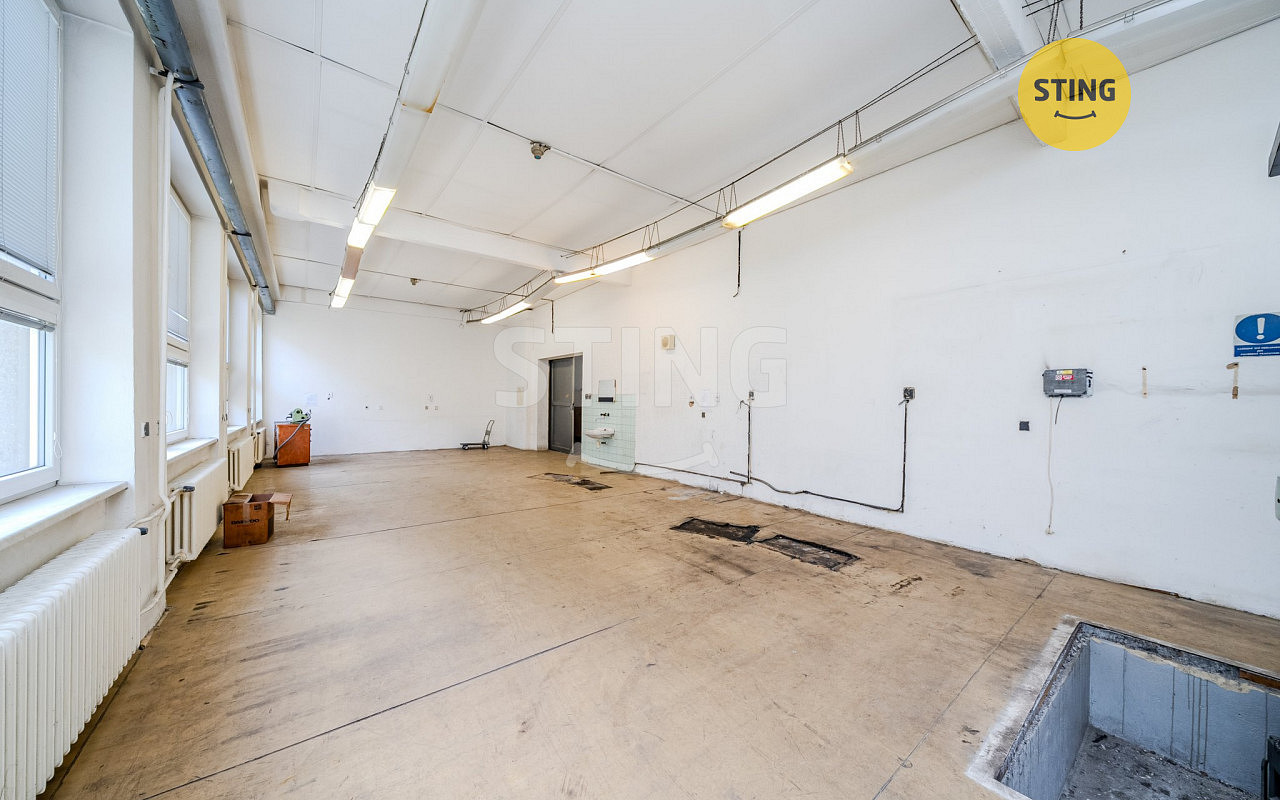Pronájem komerčního objektu (jiného typu) 230 m²