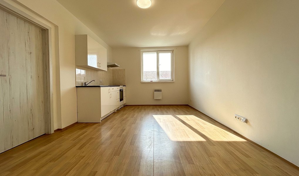 Prodej bytu 1+kk 38 m², Mšené-lázně – náhled fotky 5