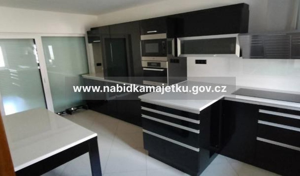 Prodej domu 767 m² s pozemkem 2 143 m², Drahňovice – náhled fotky 7