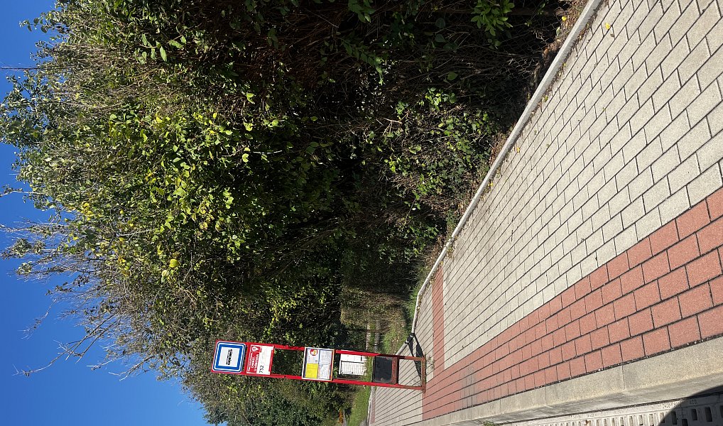 Prodej stavebního pozemku 949 m², Týnec nad Sázavou – náhled fotky 11