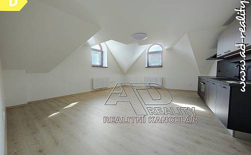 Pronájem bytu atypického 59 m², Fráni Šrámka, České Budějovice