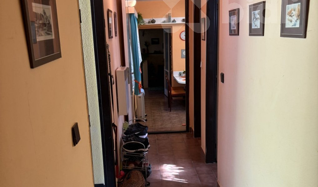 Prodej domu 90 m² s pozemkem 204 m², Haluzice – náhled fotky 10