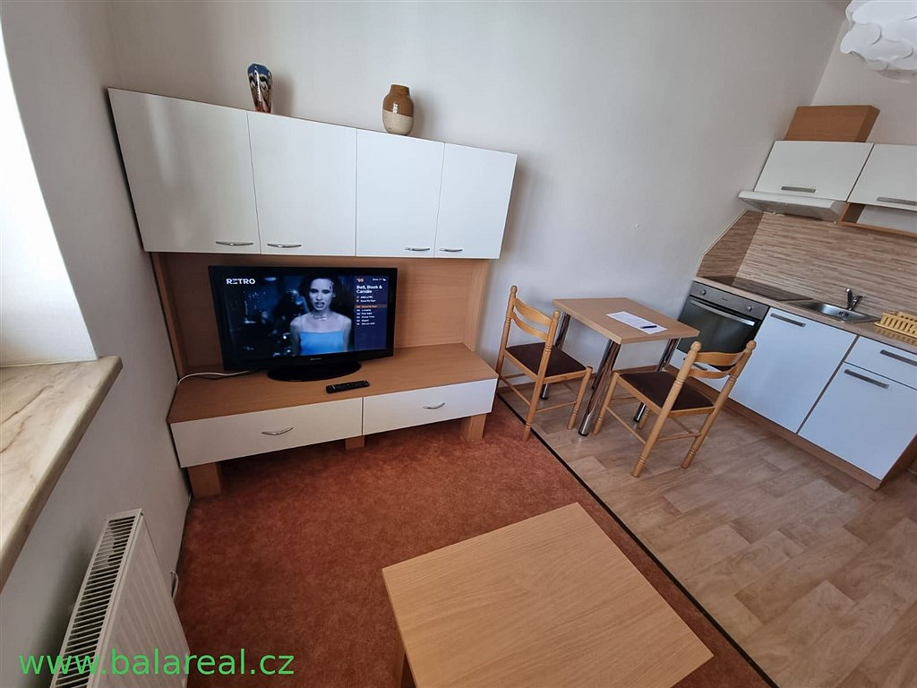Pronájem bytu 1+1 32 m² — photo 3