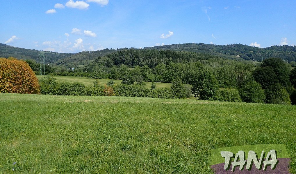 Prodej louky 49 051 m², Hodkovice nad Mohelkou – náhled fotky 6
