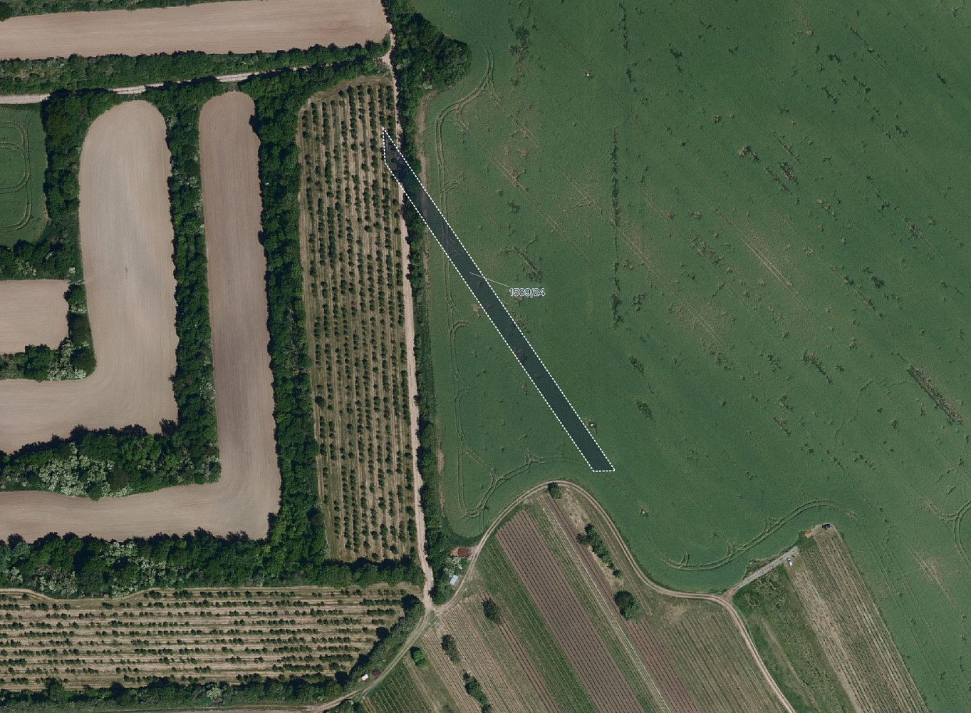 Prodej pole 6 005 m²