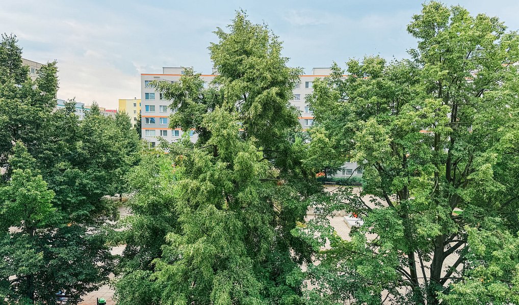 Pronájem bytu 3+1 80 m², Praha – náhled fotky 4