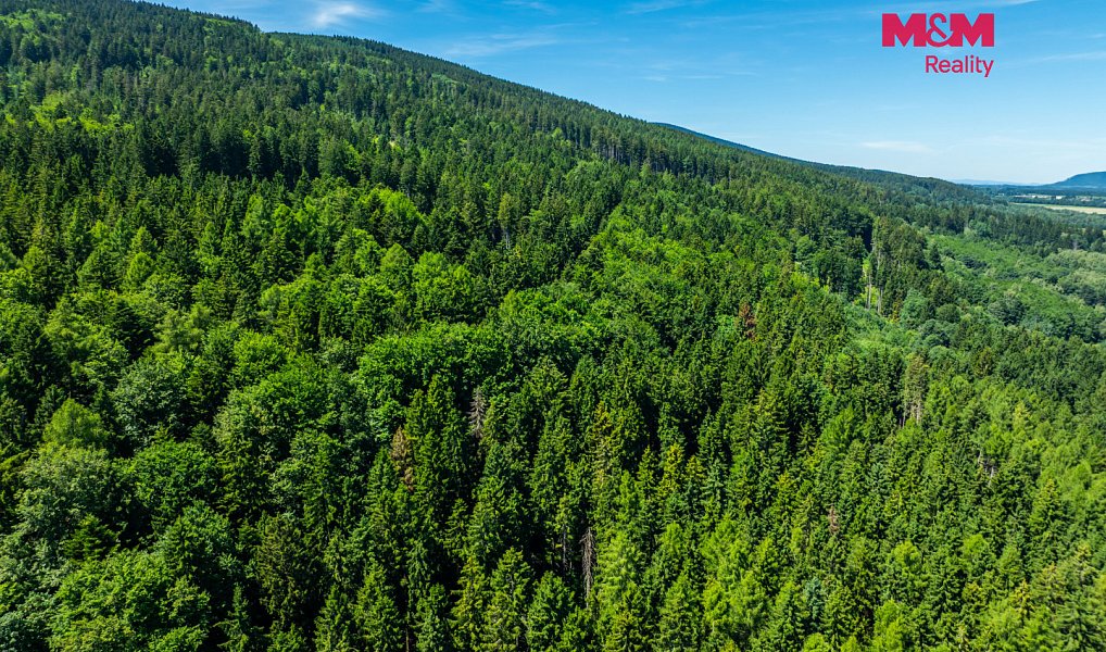 Prodej stavebního pozemku 1 251 m², Červená Voda – náhled fotky 21