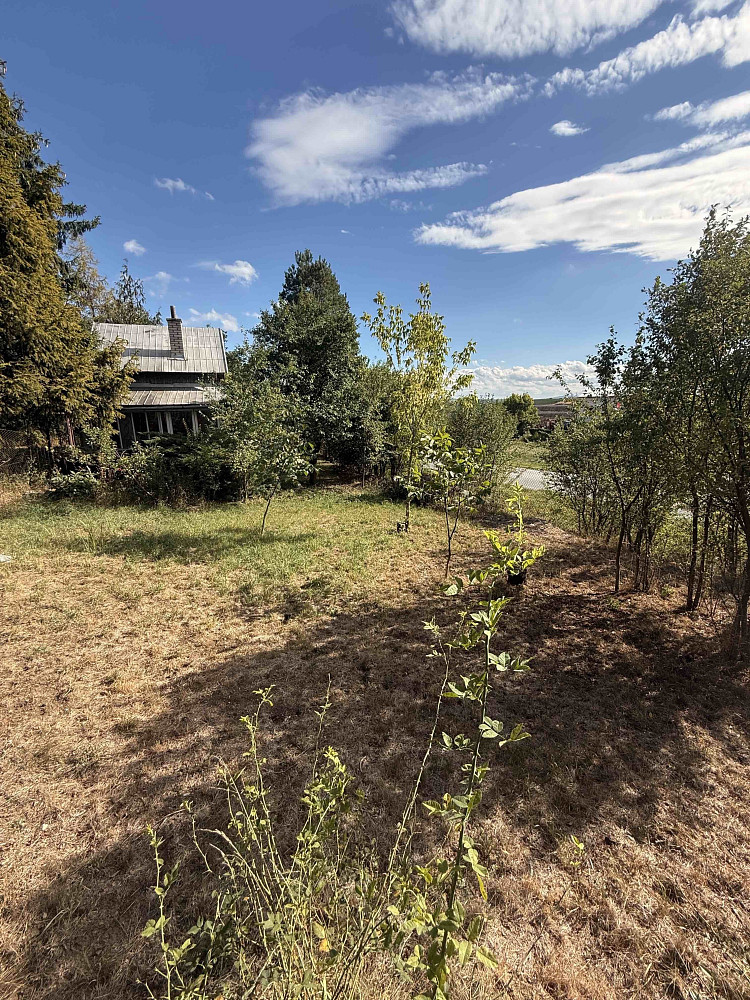 Prodej zahrady 2 145 m² – fotografie 2