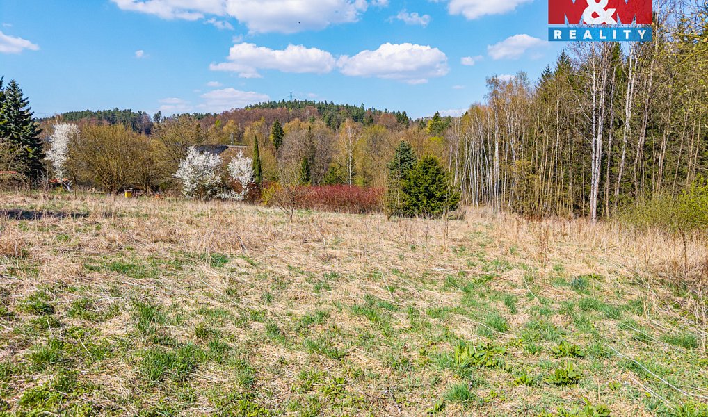 Prodej stavebního pozemku 1 064 m², Radimovice – náhled fotky 6