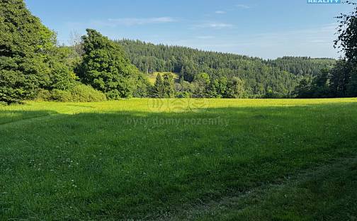 Prodej louky 7 880 m², Kořenov - Rejdice, okres Jablonec nad Nisou