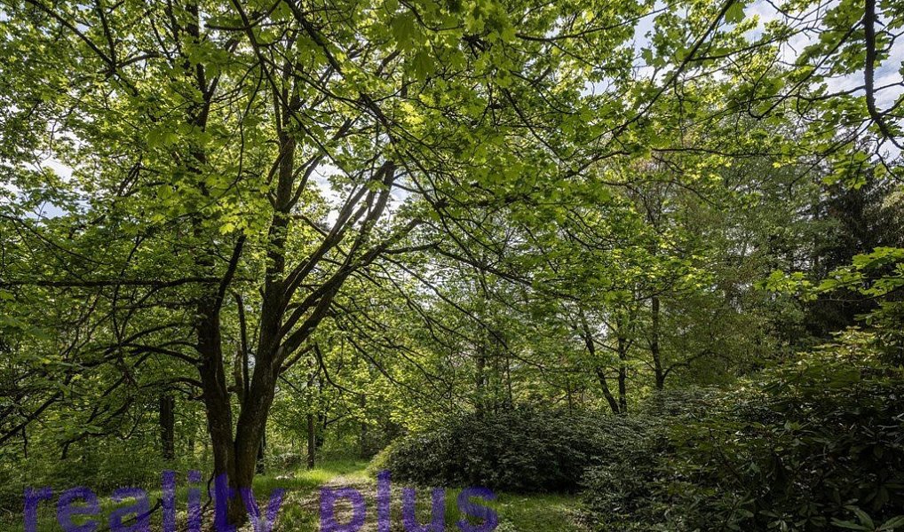 Prodej komerčního objektu (jiného typu) 1 000 m², Liberec – náhled fotky 12