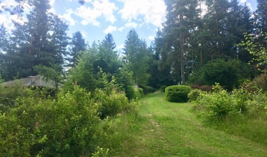 Prodej stavebního pozemku 3 004 m², Kaplice – náhled fotky 5