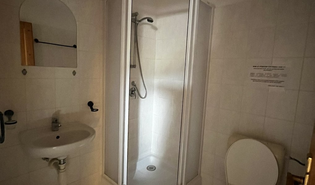 Prodej komerčního objektu (jiného typu) 160 m², Podhradní Lhota – náhled fotky 12