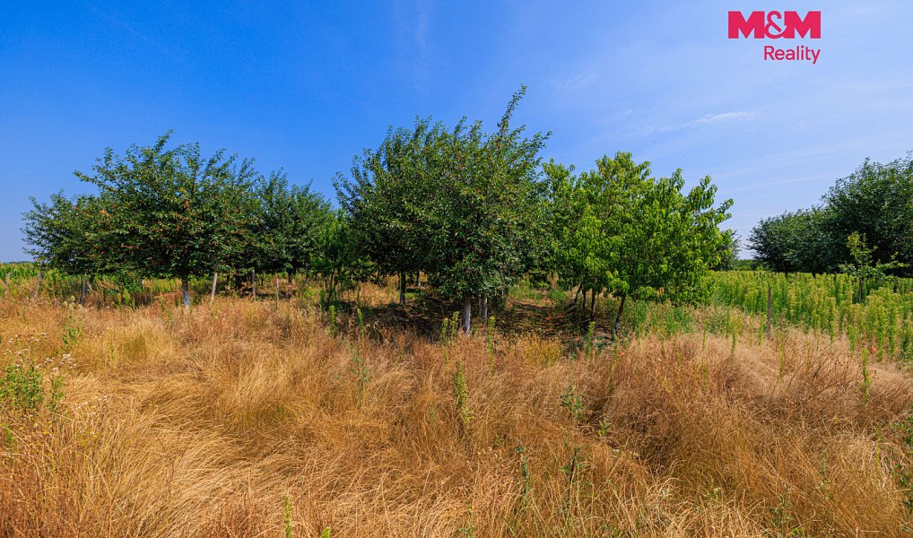 Prodej pole 53 078 m², Rakvice – náhled fotky 16