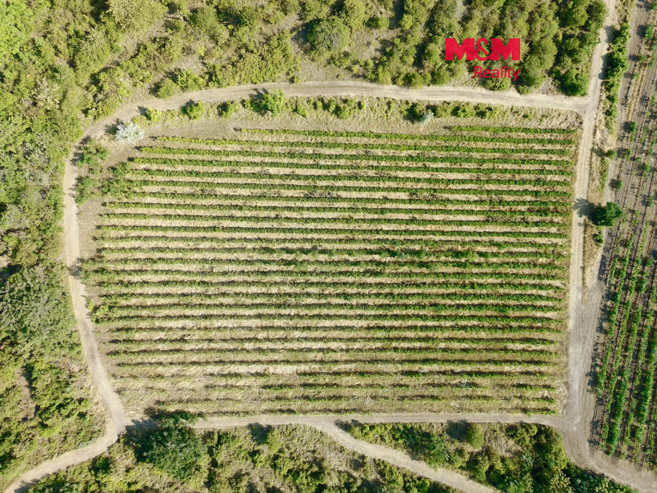 Prodej pole 9 215 m²