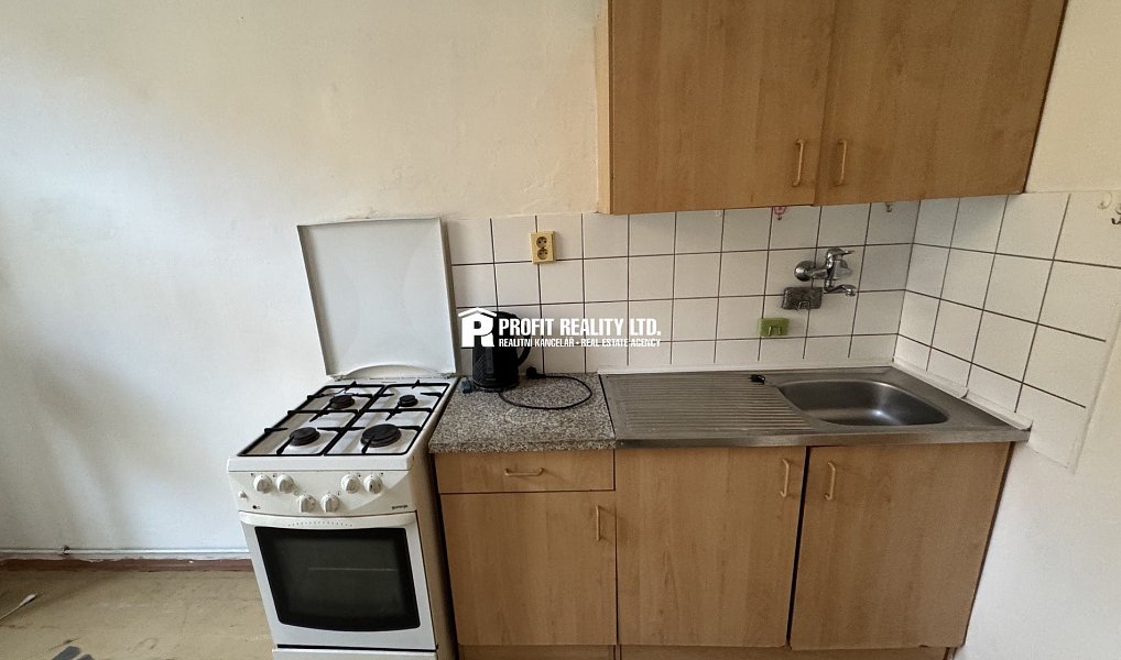 Pronájem bytu 1+1 45 m², Praha – náhled fotky 4