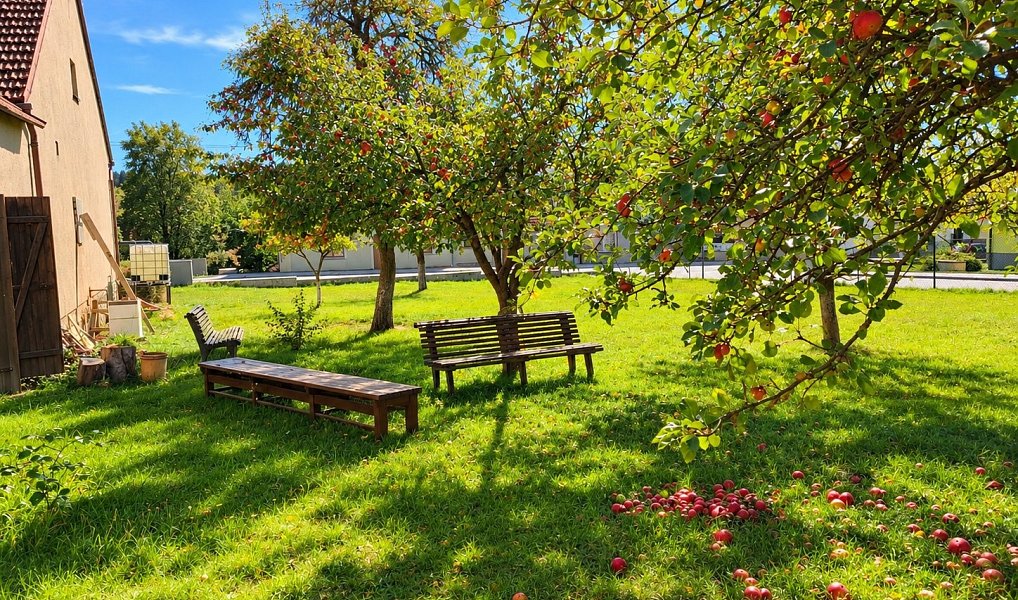 Pronájem bytu 3+1 86 m², Vysočany – náhled fotky 5