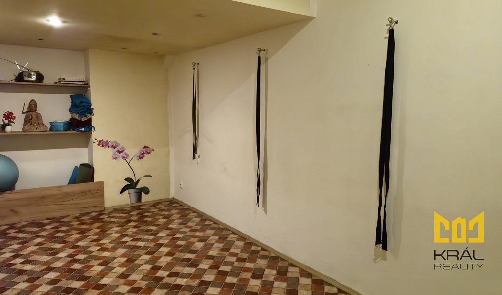 Pronájem obchodních prostor 15 m², Praha – náhled fotky 6