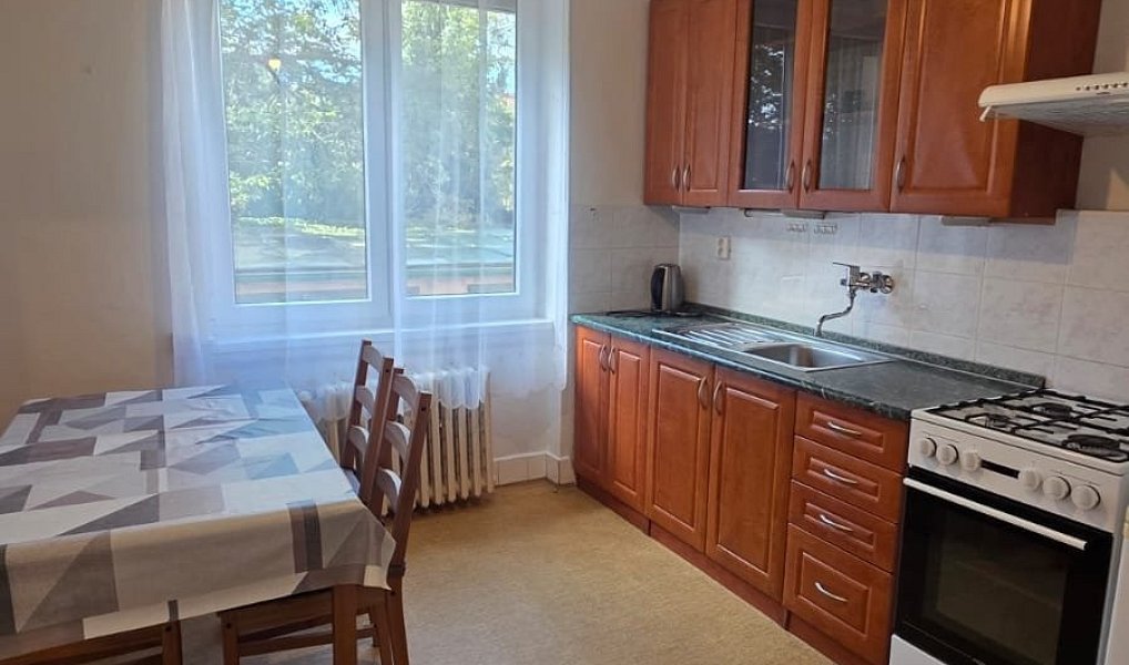 Pronájem bytu 1+1 43 m², Praha – náhled fotky 2