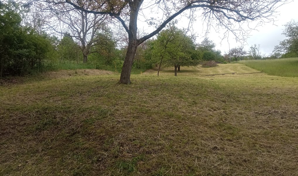 Prodej zahrady 3 429 m², Nedachlebice – náhled fotky 3