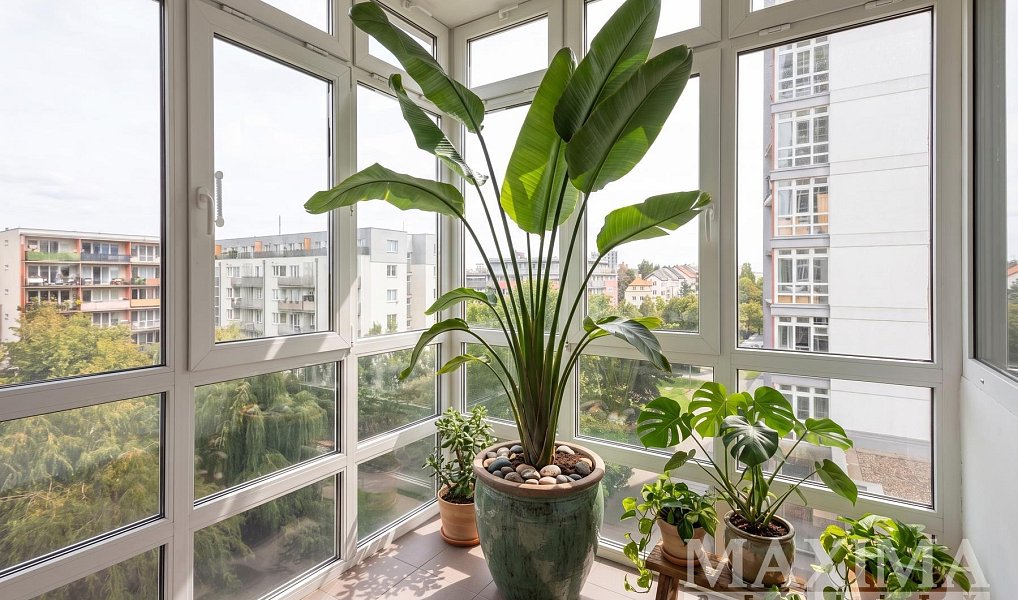 Prodej bytu 3+kk 79 m², Praha – náhled fotky 10