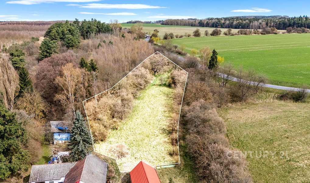 Prodej stavebního pozemku 3 207 m², Všesulov – náhled fotky 7