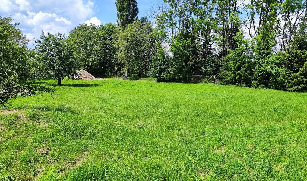 Prodej stavebního pozemku 1 655 m², Bílá Lhota – náhled fotky 6