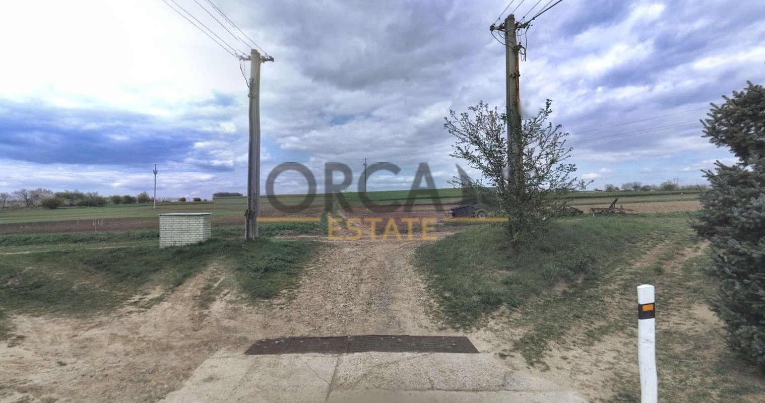 Prodej pole 2 572 m² – fotografie 3