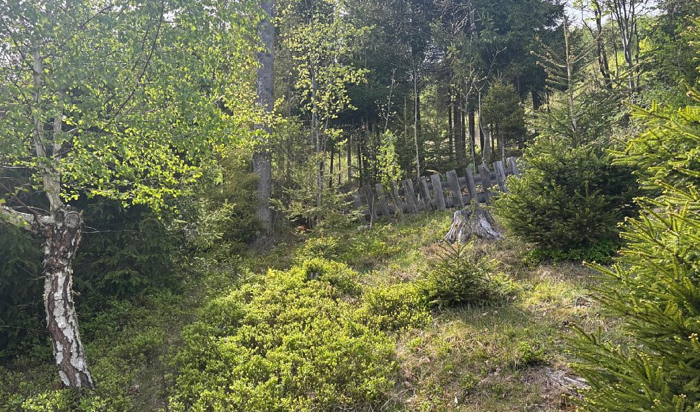 Prodej chaty/chalupy 49 m² s pozemkem 776 m², Košařiska – náhled fotky 26