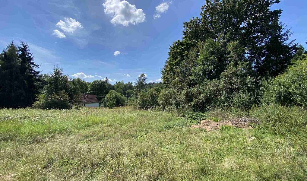 Prodej zahrady 2 258 m², Staré Město pod Landštejnem – náhled fotky 3