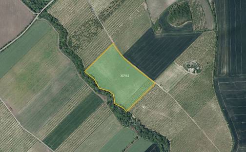 Prodej pole 42 369 m², Želkovice, okres Louny