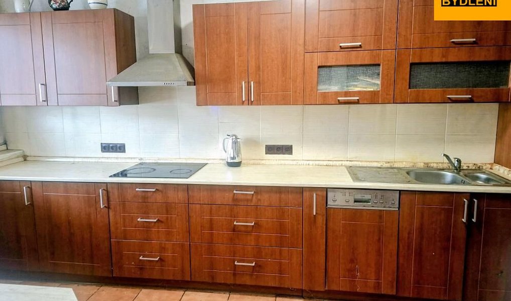 Prodej domu 250 m² s pozemkem 4 360 m², Loučany – náhled fotky 11