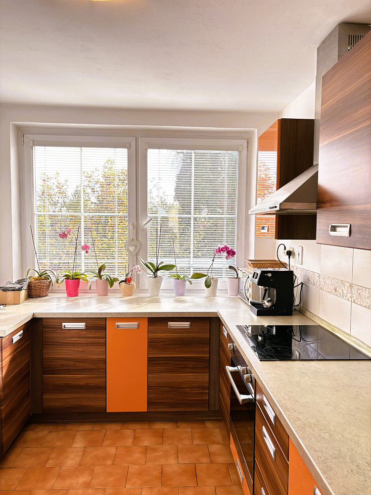 Prodej domu 400 m² s pozemkem 1 320 m²