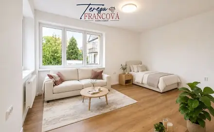 Pronájem bytu 1+1 43 m², Riegrova, Prostějov