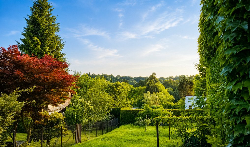 Prodej domu 158 m² s pozemkem 1 508 m², Havířov – náhled fotky 4