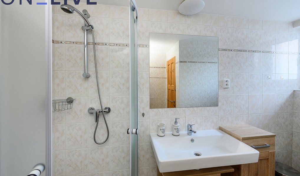 Prodej komerčního objektu (jiného typu) 500 m², Železná Ruda – náhled fotky 15