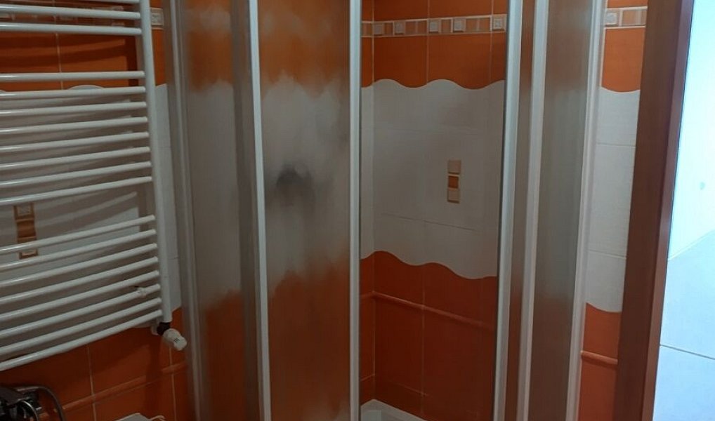 Prodej bytu 3+kk 85 m², Výprachtice – náhled fotky 8