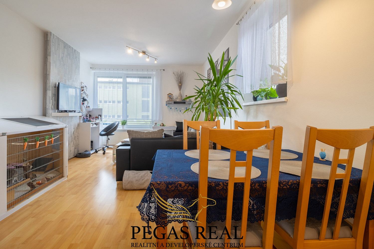 Prodej bytu 2+kk 52 m² — photo 3