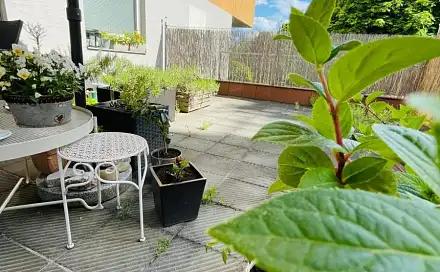 Prodej bytu 1+kk 26 m²