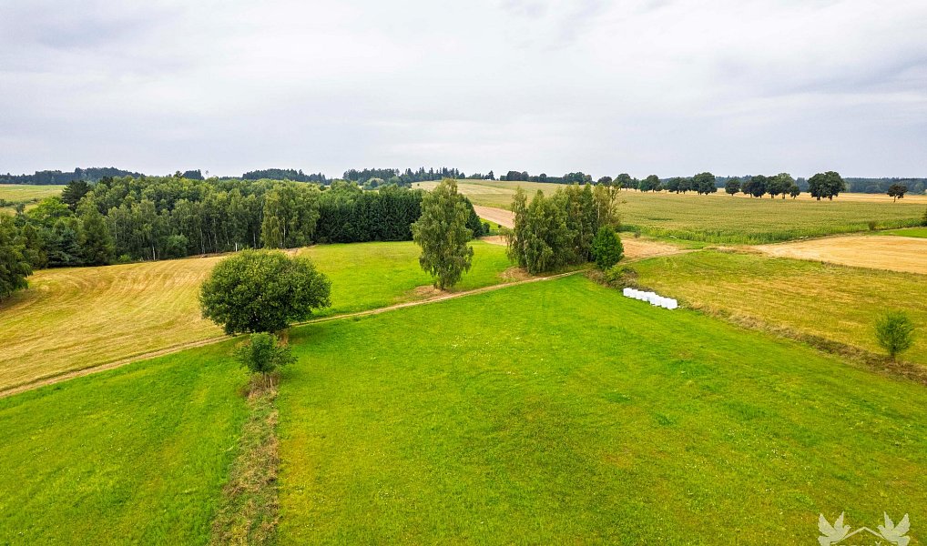Prodej stavebního pozemku 1 401 m², Strmilov – náhled fotky 4