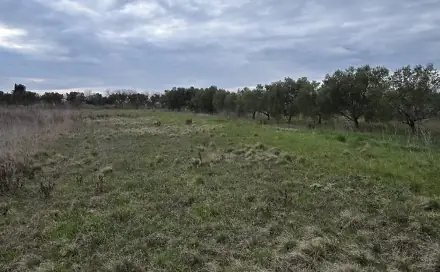 Prodej stavebního pozemku 2 547 m², Zemunik Donji, Zadarska županija, Chorvatsko
