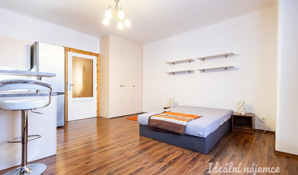 Pronájem bytu 1+kk 38 m², Praha – náhled fotky 4