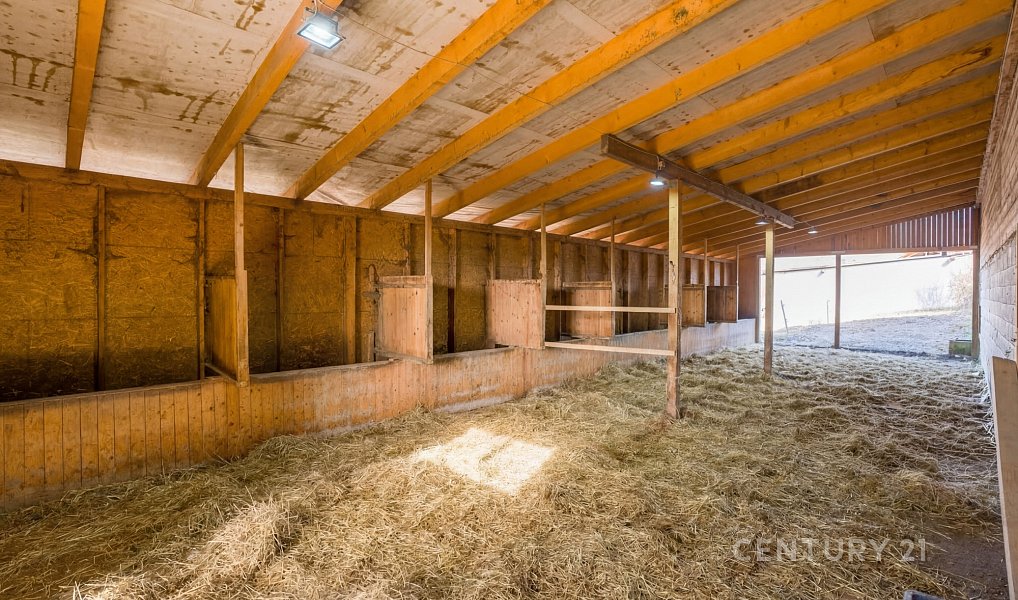 Prodej zemědělského objektu 1 100 m², Zádveřice-Raková – náhled fotky 16