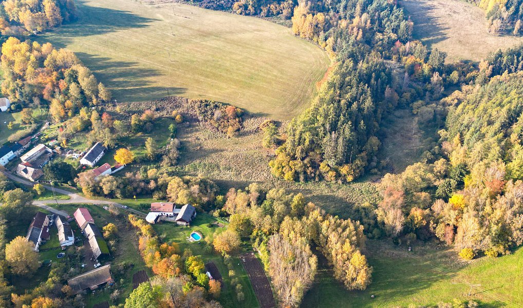 Prodej pozemku 15 970 m², Planá – náhled fotky 22