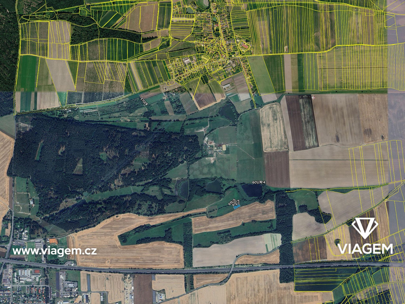 Prodej pole 2 824 m² – fotografie 4