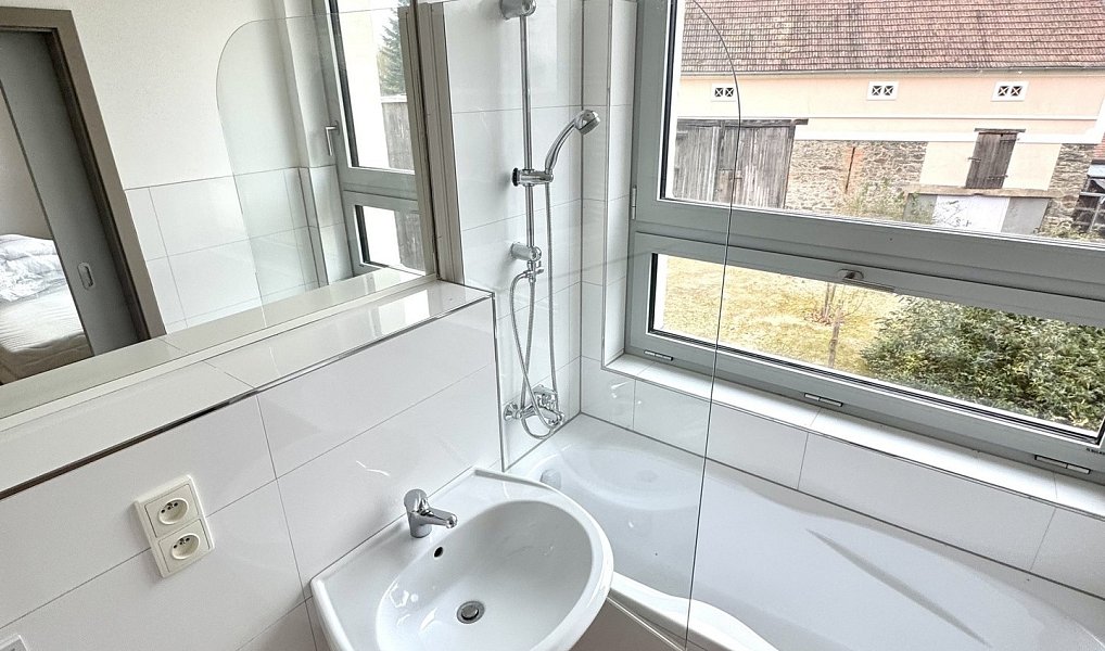 Prodej domu 790 m² s pozemkem 3 107 m², Ošelín – náhled fotky 8