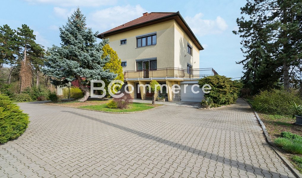 Prodej domu 270 m² s pozemkem 4 446 m², Dolní Kounice – náhled fotky 31